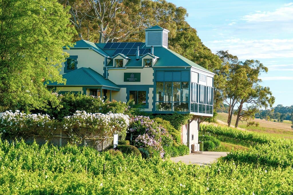 At Hahndorf Hill we are on a journey to introduce into Australia the wonderful, food-friendly grape varieties of Austria.
Our boutique vineyard is located at the edge of the historic, German-heritage village of Hahndorf in the beautiful Adelaide Hills of South Australia.

Here we are growing and pioneering the Austrian grape varieties of Blaufrankisch, Gruner Veltliner, Zweigelt and St Laurent - all varieties that have an incredible affinity with a broad range of cuisines and food types.