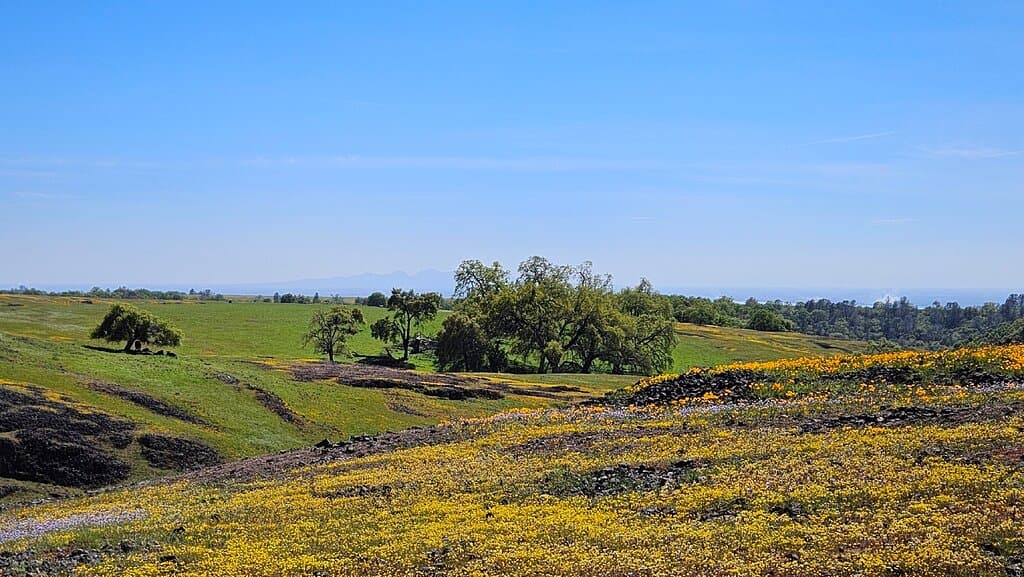 North Table Mountain Ecological Reserve California