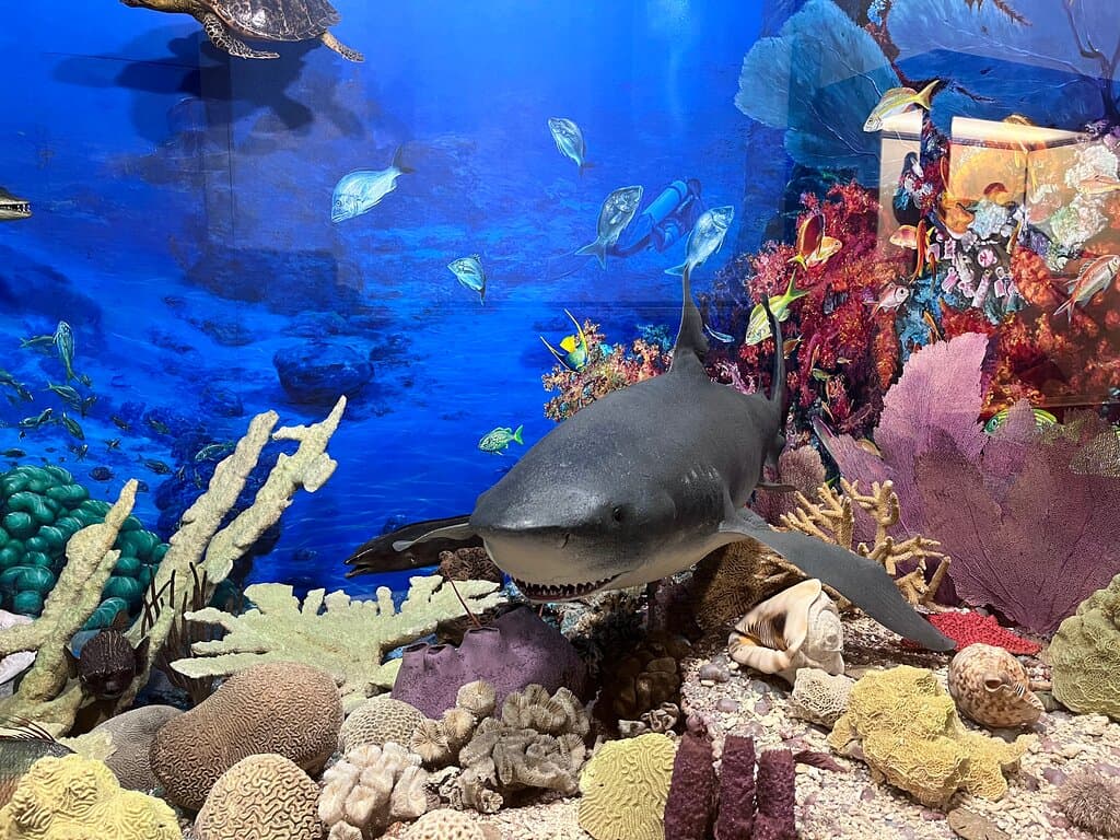 Slovak Technical Museum Košice