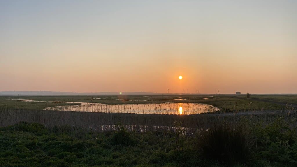 Sunrise 