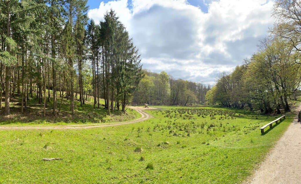 Haderslev Deer Park Dyrehaven