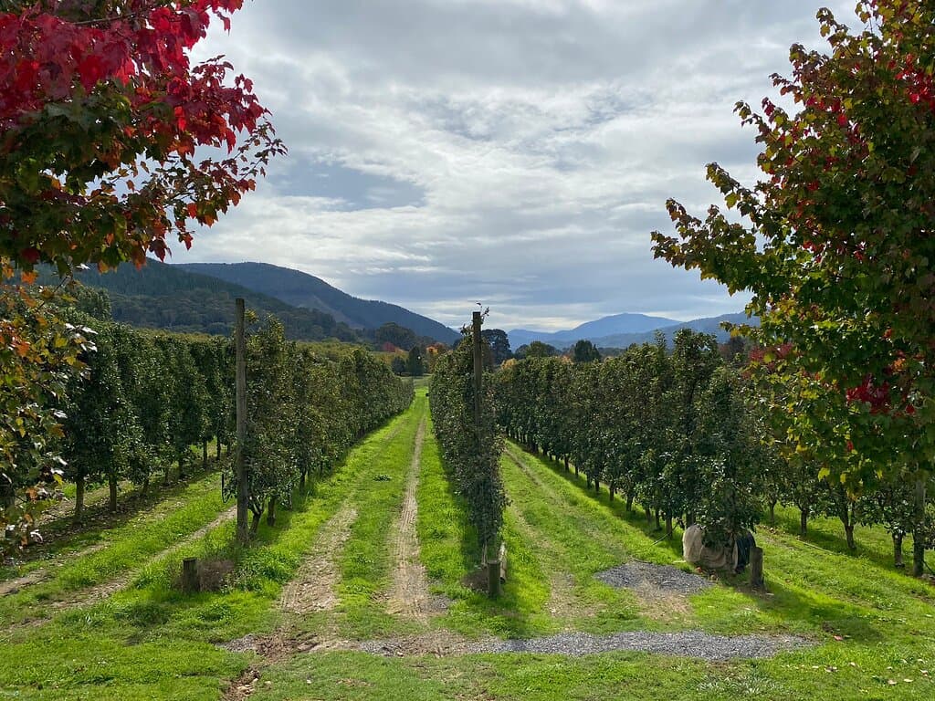 Nightingale Bros Orchard