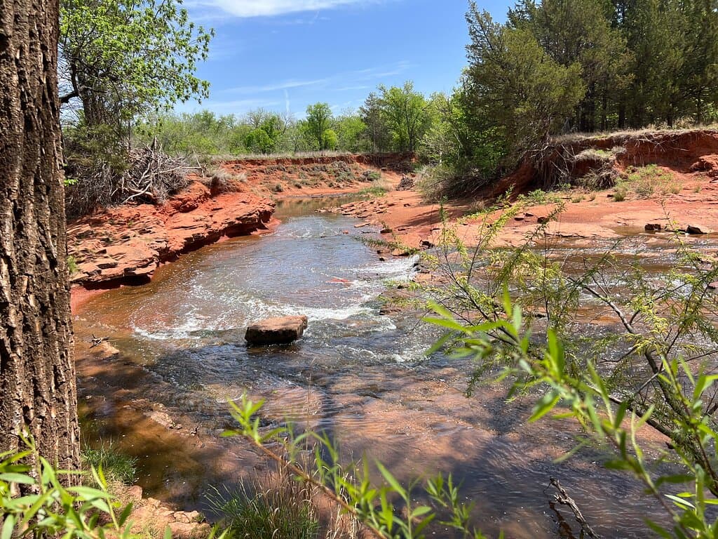 Getting down to the creek