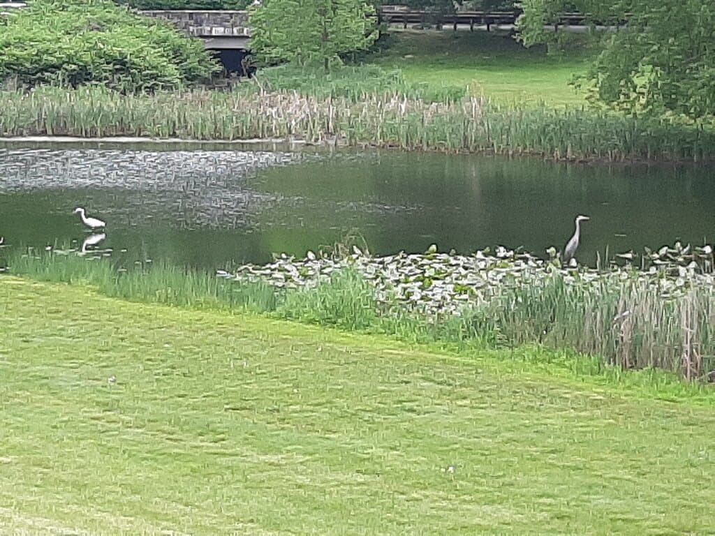 Lake Lenape Park Mays Landing