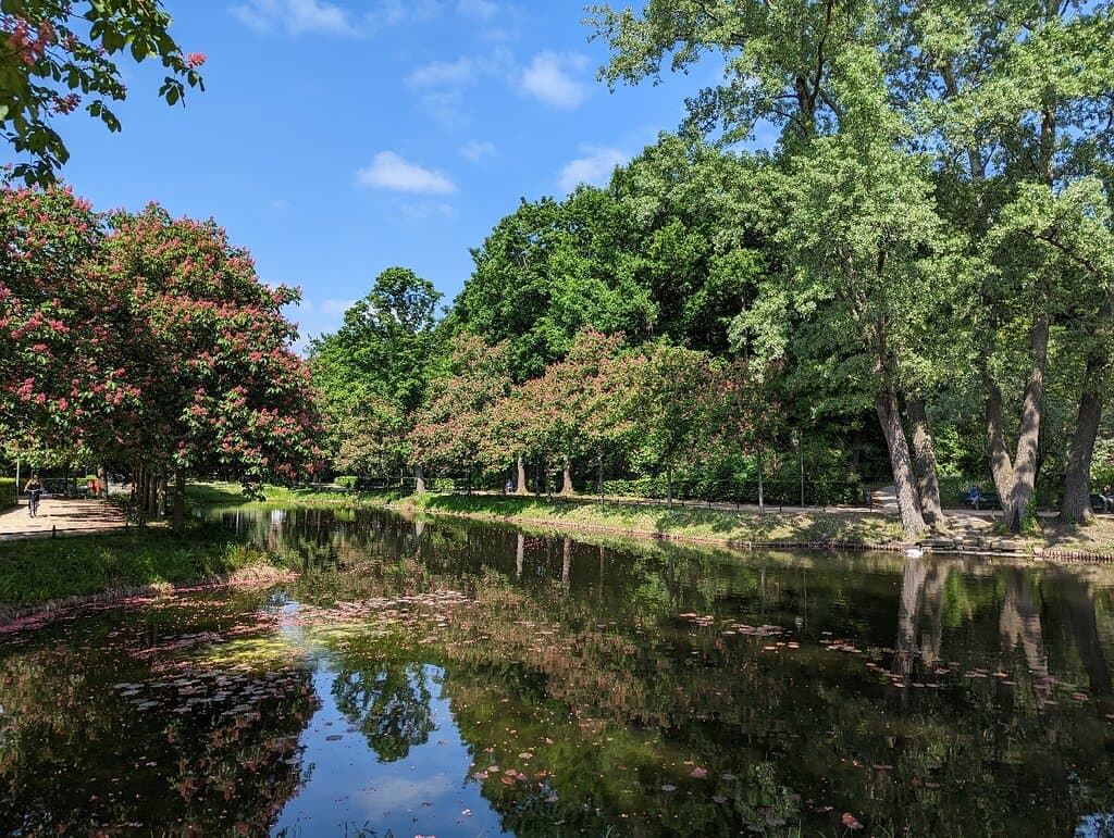 Explore the Tiergarten