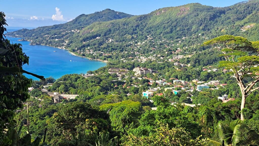 Dans Gallas