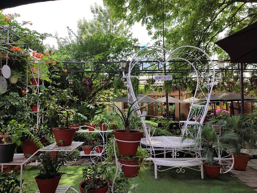 Walnut Bistro - Restaurant in Kathmandu