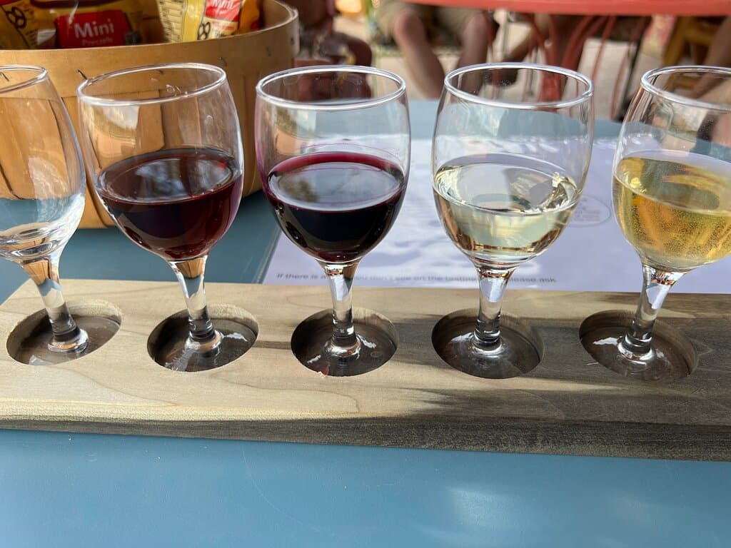 Palisade Wine Country