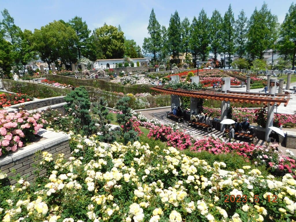 園内景観一例　2023年5月12日撮影