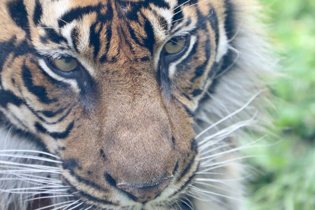 Topeka Zoo & Conservation Center