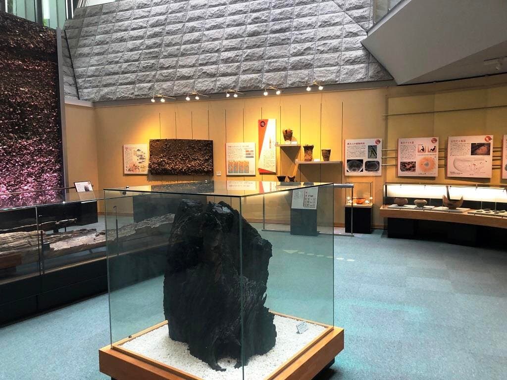 《飛鳥山公園》「北区飛鳥山博物館」1F常設展－古代縄文時代