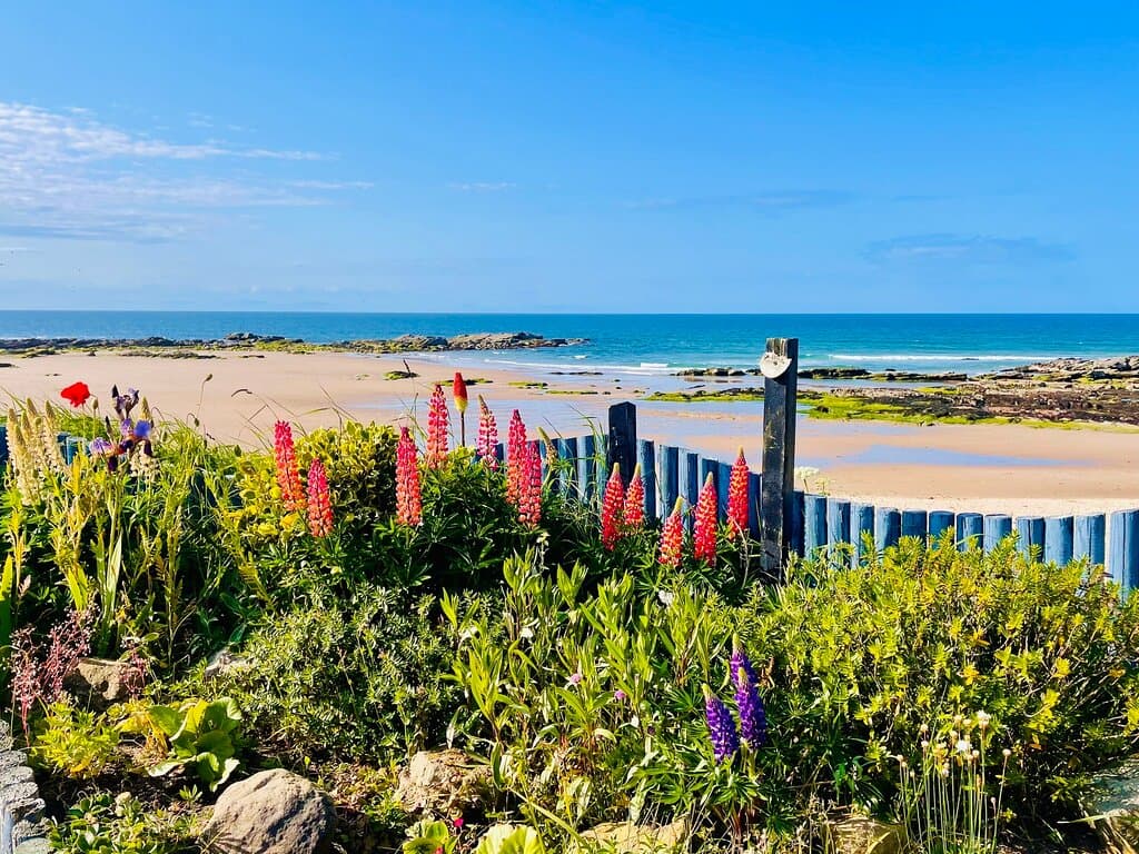 Lots of attractive flower displays & palm trees 🌴 add festive colour to the beach promenade.