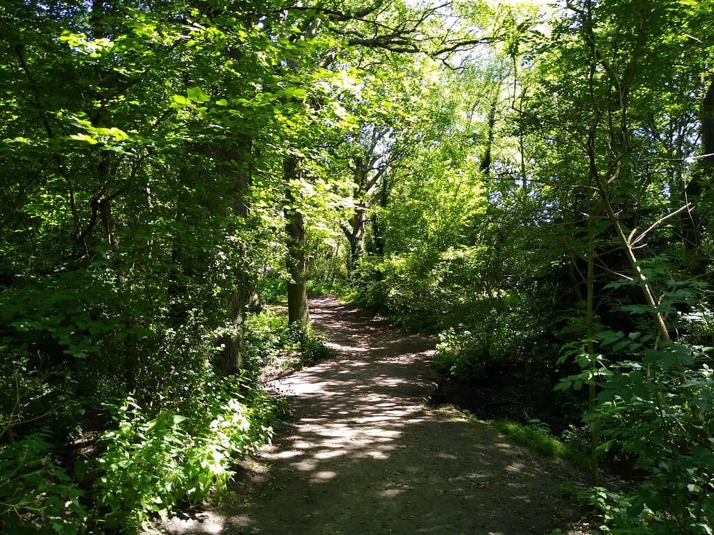 Petts Wood green walk