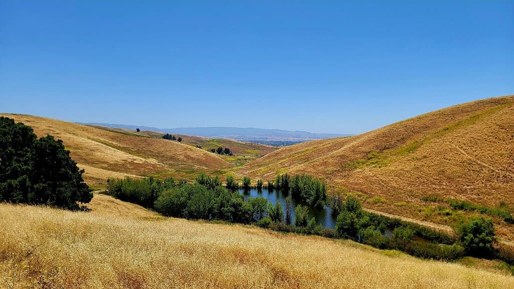 Brushy Peak Regional Preserve