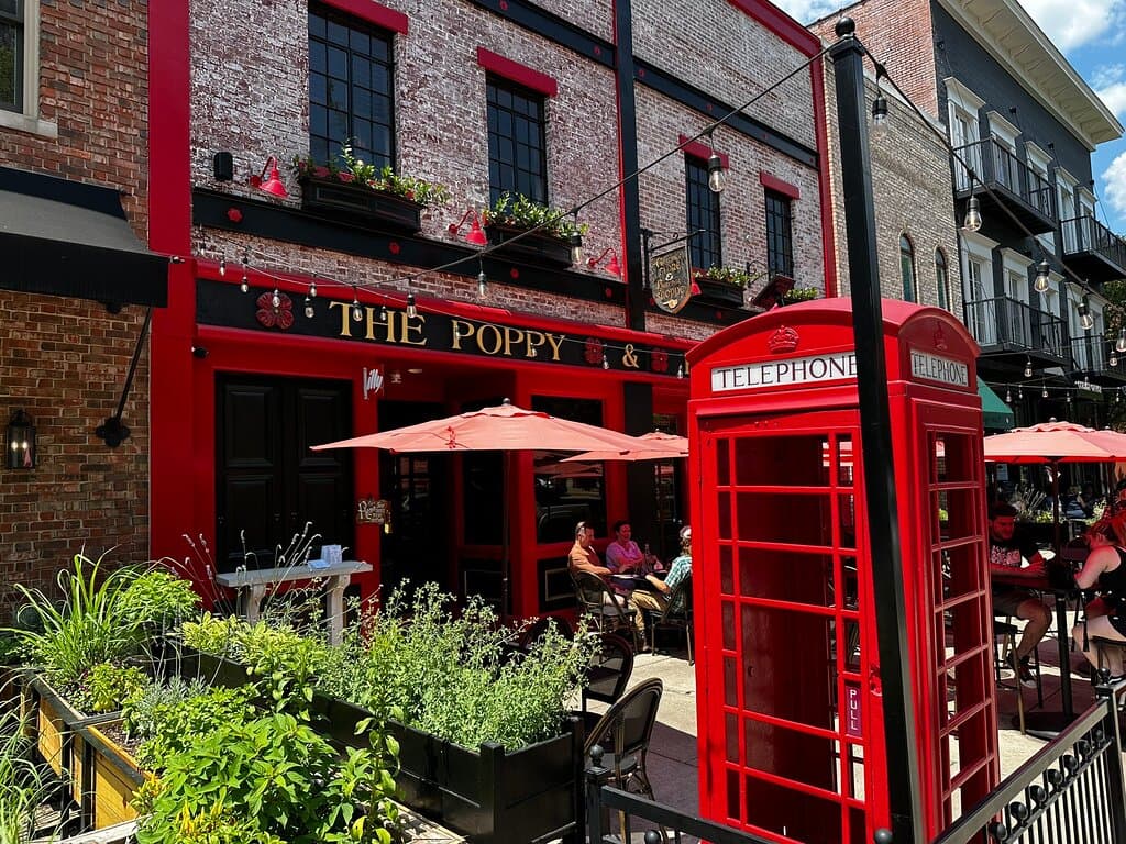 The Poppy and Parliament