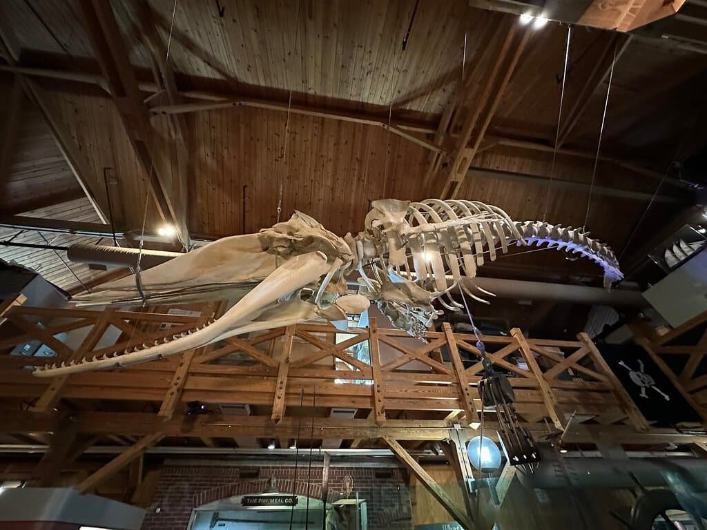 North Carolina Maritime Museum Beaufort