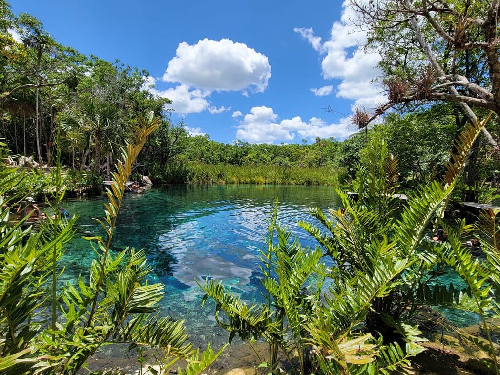 Cenote Corazón del Paraíso