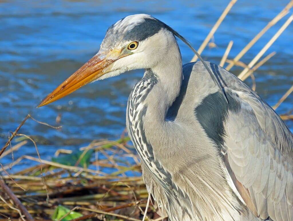 Visit Tolka Valley Park