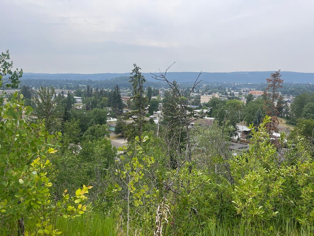 View from top