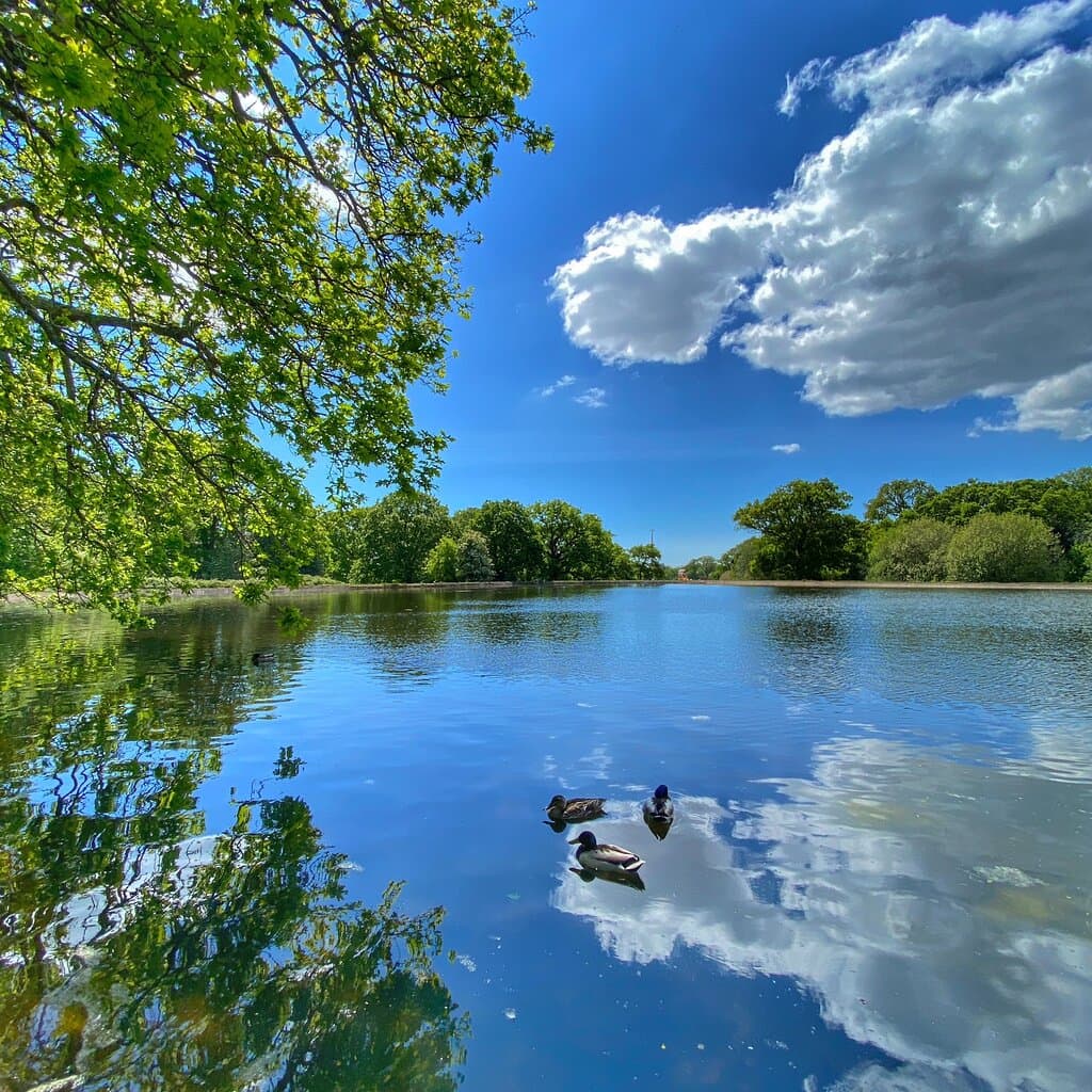 Southampton Common