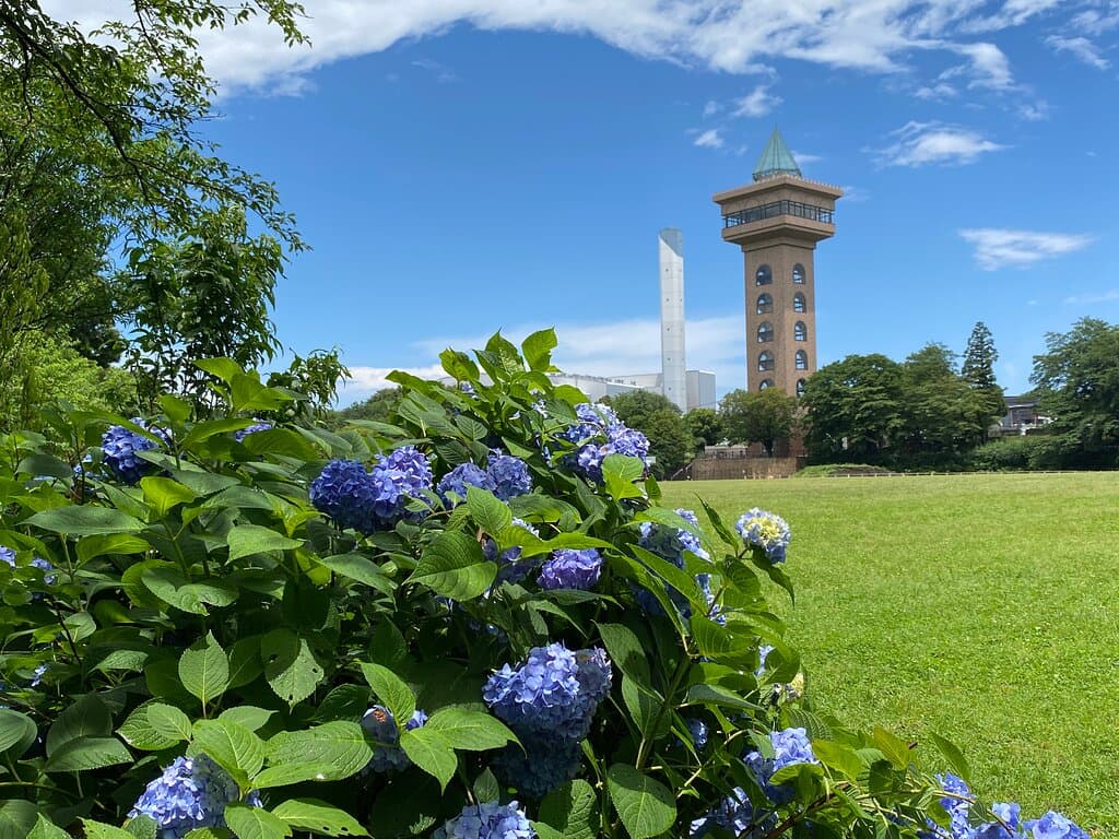 紫陽花とグリーンタワー（展望塔）