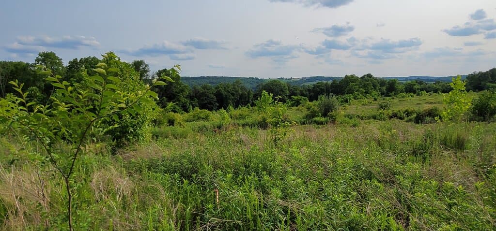 Climber's Run Nature Center