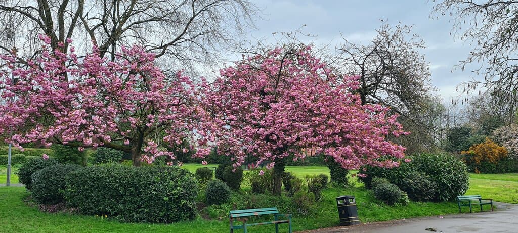 Falinge Park Rochdale