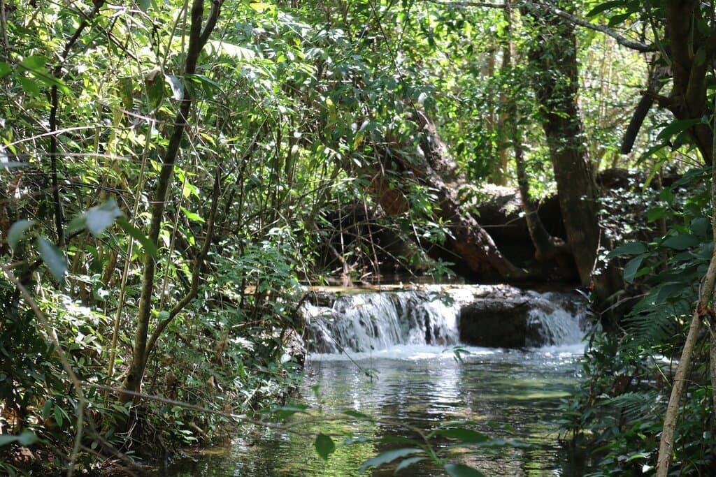 Ponte da Lapa