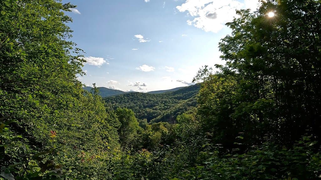 Coolidge State Park