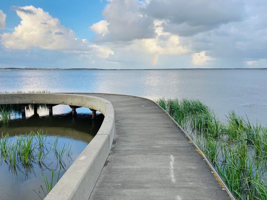 Filsø Bird Tower Løvklitten