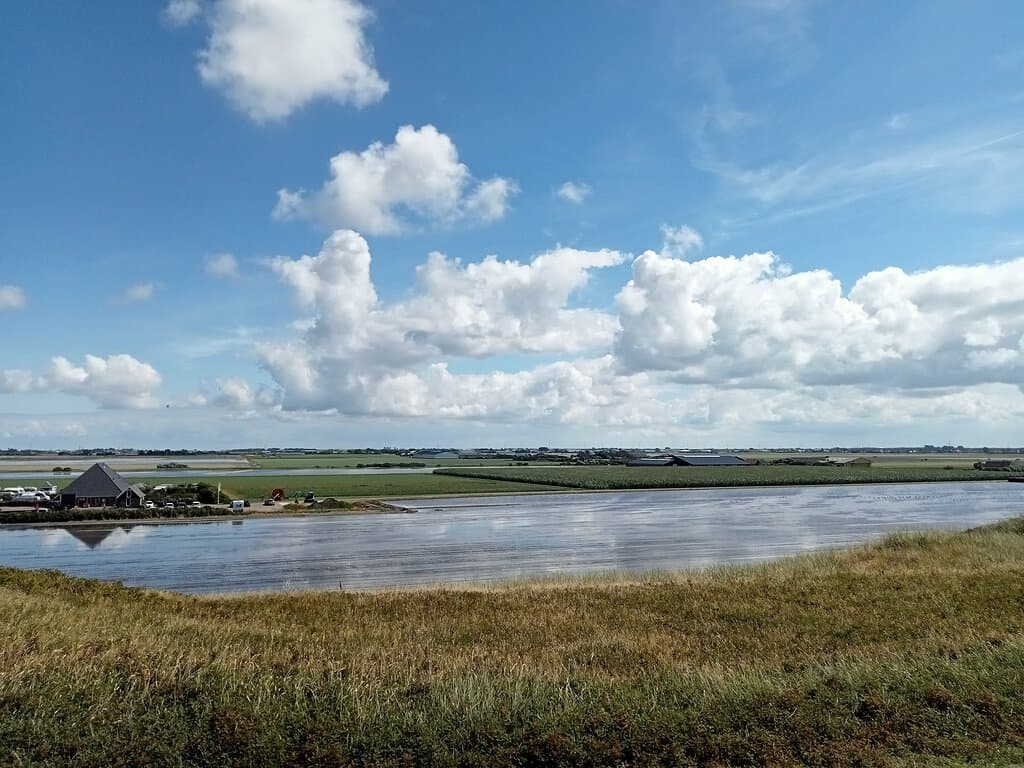 Surroundings Donkere Duinen, North-Holland, Netherlands. August 2022.