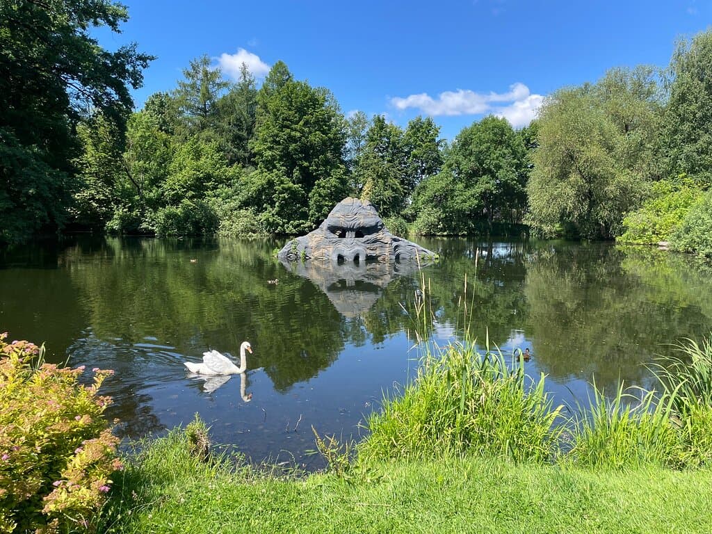 Beautiful swans were spotted in most of the ponds
