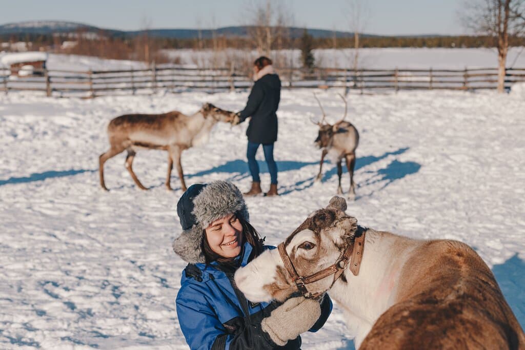 meet the reindeer