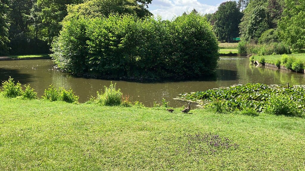 Kurpark 