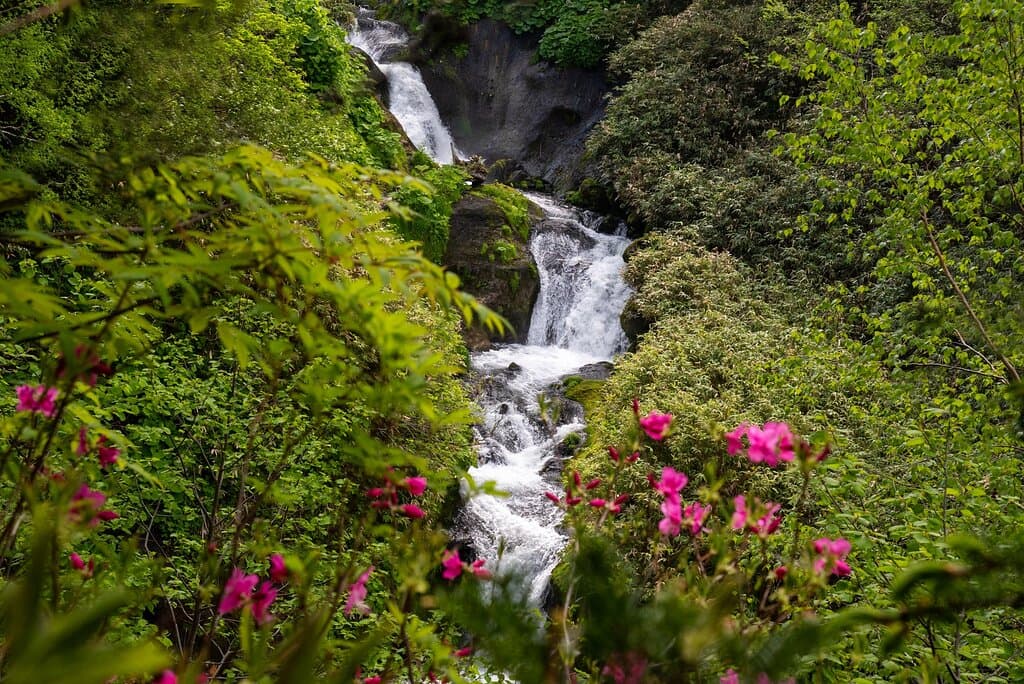 崖に宙吊りになって一脚にカメラを付けて片手で気の枝の間から約20カットほどシャッターを切った内の１枚です。 崖の途中まででも行ければ素晴らしいと思います。