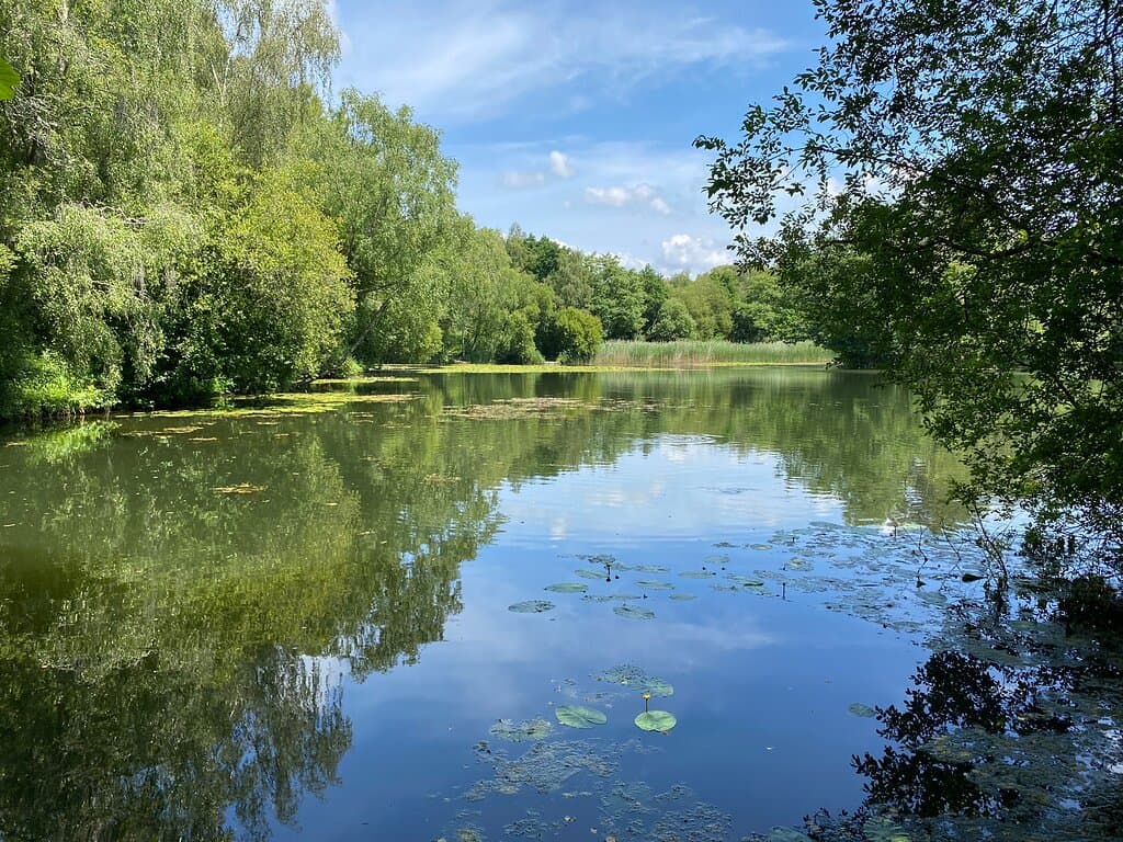 Swanwick Lakes Nature Reserve