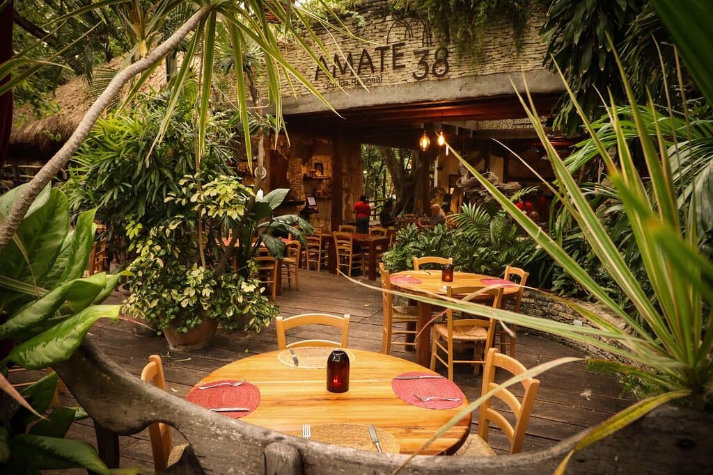 "Restaurante de Auténtica Comida Regional Yucateca" 

En nuestro restaurante de comida regional yucateca, fusionamos arte, tradición y sabores auténticos para ofrecerte una experiencia culinaria inigualable. Descubre la frescura de nuestros alimentos y bebidas elaborados con productos locales y regionales. ¡Ven y saborea la sazón tradicional de Yucatán!