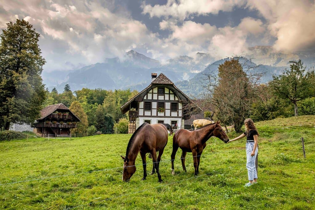Freilichtmuseum Ballenberg - erleben Sie die Schweiz mit allen Sinnen.