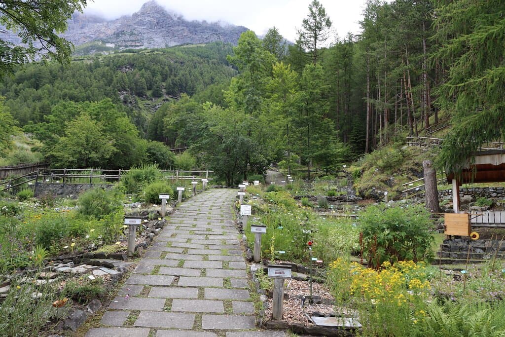 orto botanico