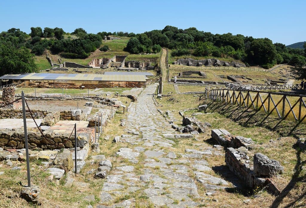 Area Archeologica di Roselle - 20