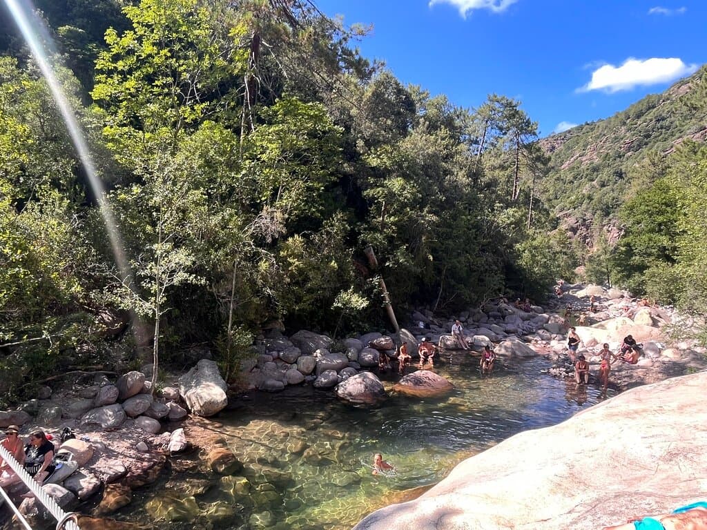 Bonifatu Forest Corsica