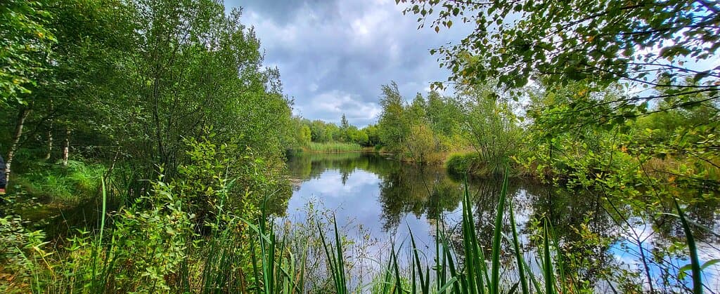 Risley Moss Nature Reserve Warrington