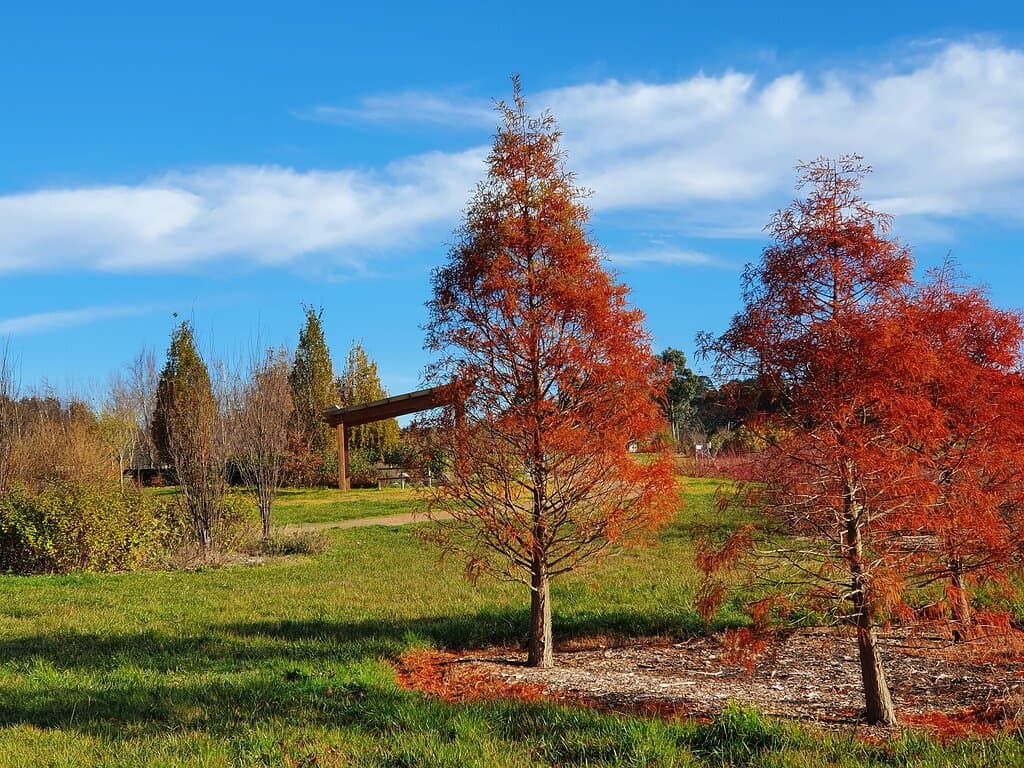 Autumn 2023