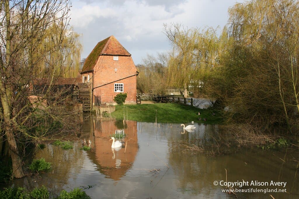 Cobham River Mole Walk