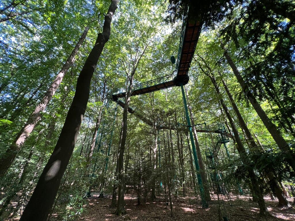 Boomkroonpad (Treetop Walk)