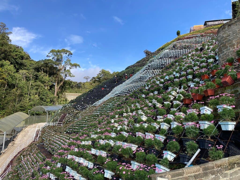 Flora Park Cameron Highlands