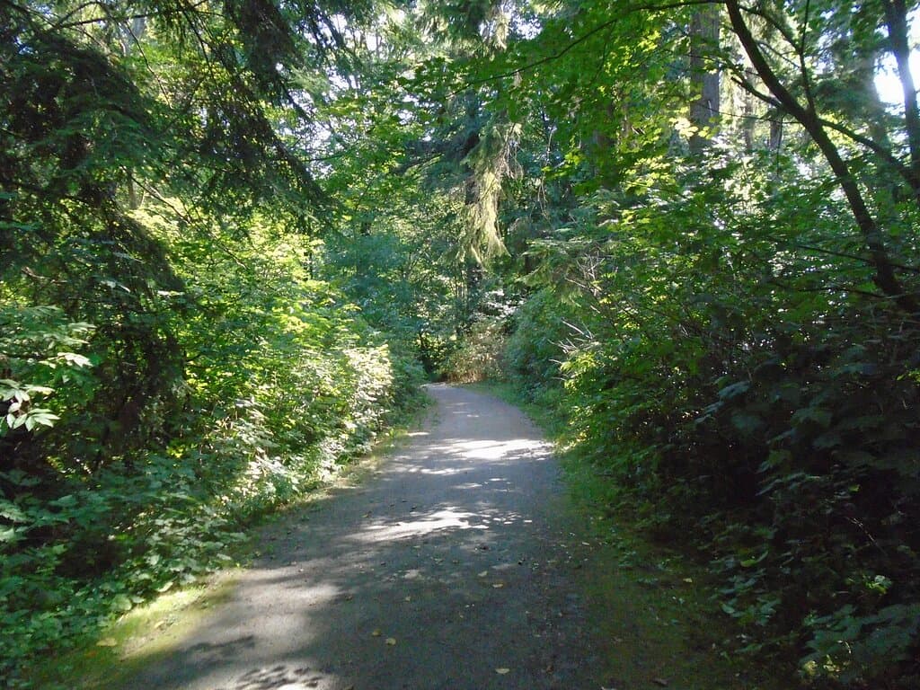 Trail to Pool
