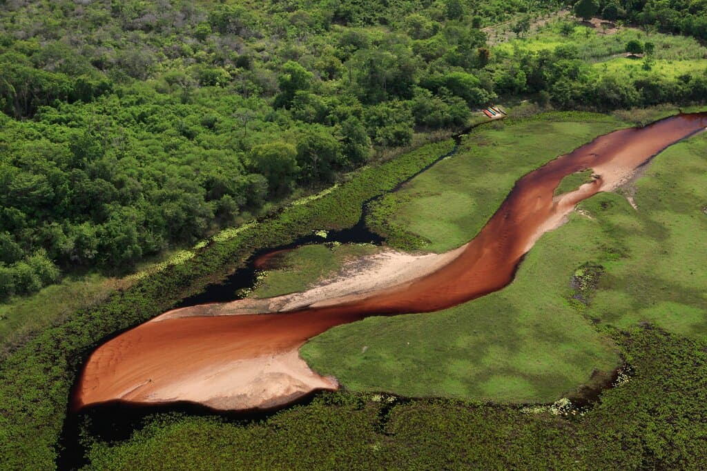 Marimbus Wetlands Andaraí