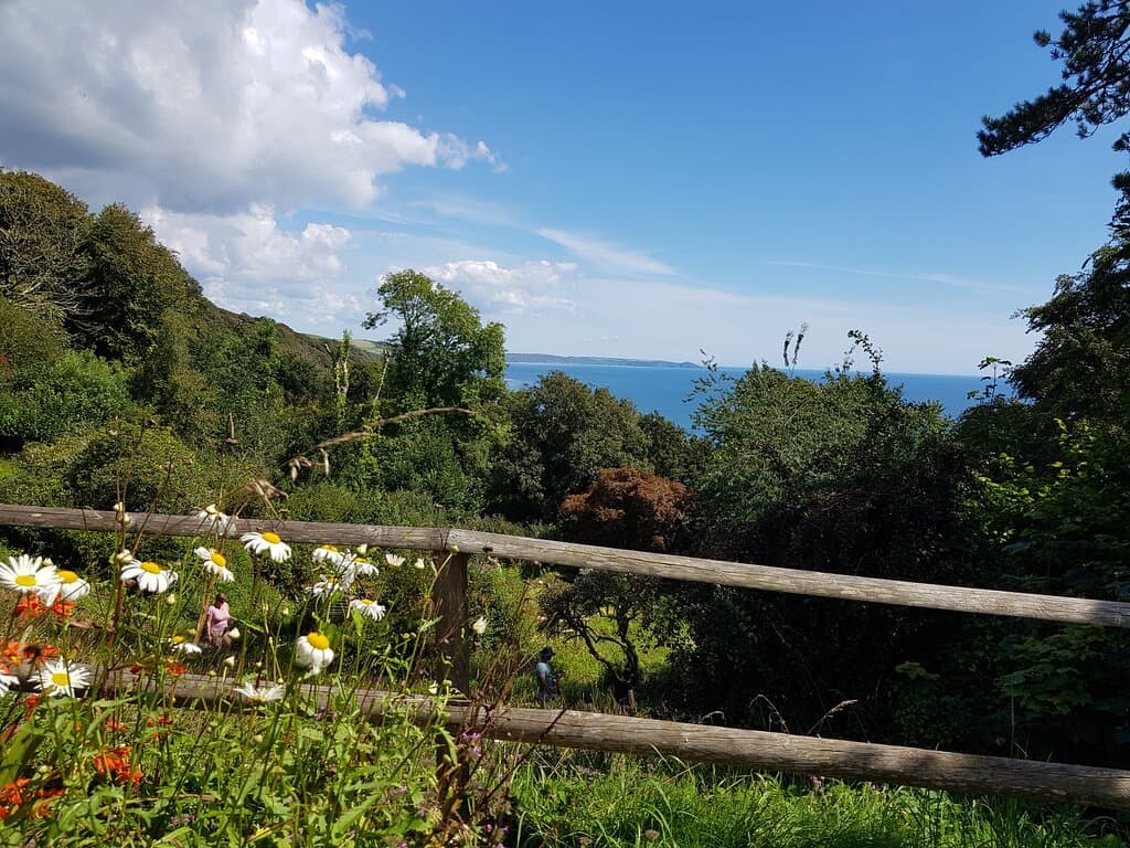 View from the sanctuary's cafe