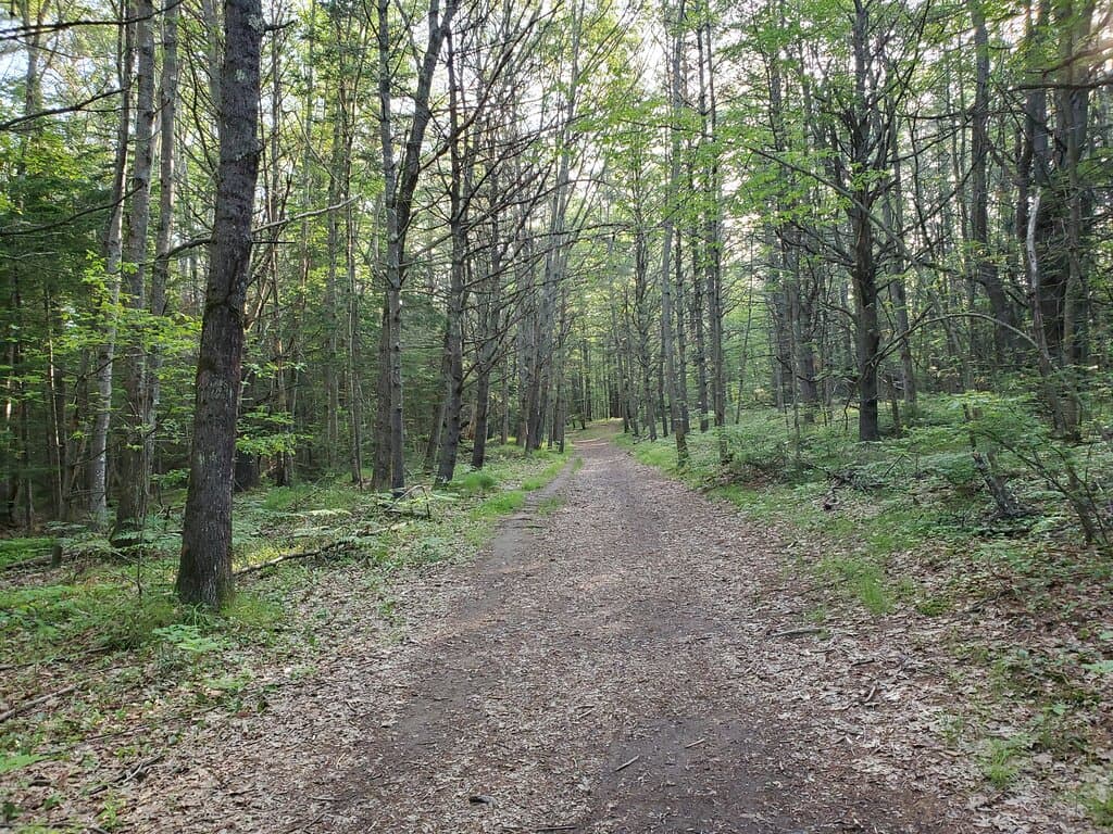 Brunswick Town Commons